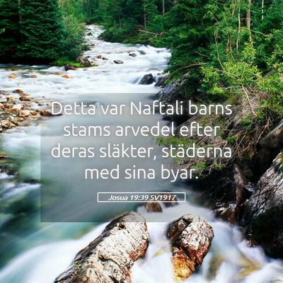 Picture 05 - Josua 19:39 SV1917 - Detta var Naftali barns stams arvedel efter deras - Bible Verse Picture