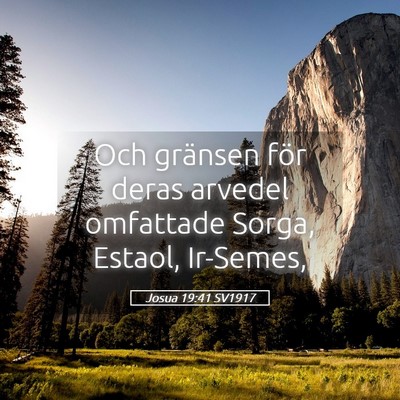Picture 05 - Josua 19:41 SV1917 - Och gränsen för deras arvedel omfattade Sorga, - Bible Verse Picture