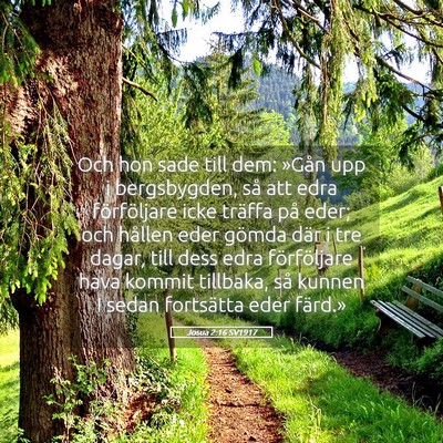 Picture 05 - Josua 2:16 SV1917 - Och hon sade till dem: »Gån upp i bergsbygden, - Bible Verse Picture