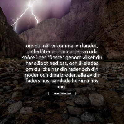 Picture 05 - Josua 2:18 SV1917 - om du, när vi komma in i landet, underlåter att - Bible Verse Picture