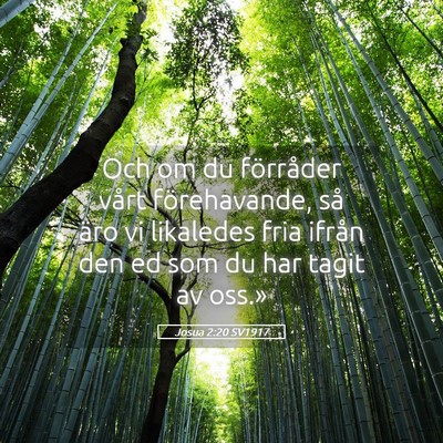 Picture 05 - Josua 2:20 SV1917 - Och om du förråder vårt förehavande, så äro - Bible Verse Picture