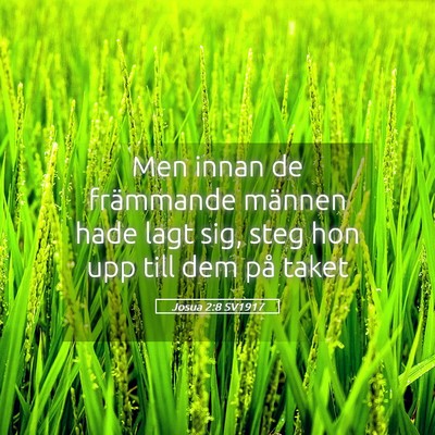 Picture 05 - Josua 2:8 SV1917 - Men innan de främmande männen hade lagt sig, - Bible Verse Picture