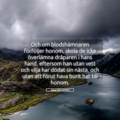 Picture 05 - Josua 20:5 SV1917 - Och om blodshämnaren förföljer honom, skola de - Bible Verse Picture