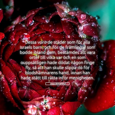 Picture 05 - Josua 20:9 SV1917 - Dessa voro de städer som för alla Israels barn, - Bible Verse Picture