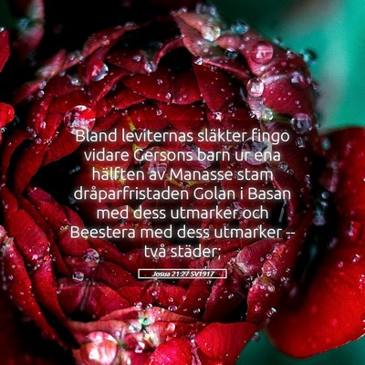 Picture 05 - Josua 21:27 SV1917 - Bland leviternas släkter fingo vidare Gersons - Bible Verse Picture