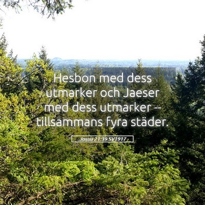 Picture 05 - Josua 21:39 SV1917 - Hesbon med dess utmarker och Jaeser med dess - Bible Verse Picture