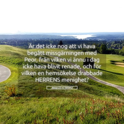 Picture 05 - Josua 22:17 SV1917 - Är det icke nog att vi hava begått - Bible Verse Picture