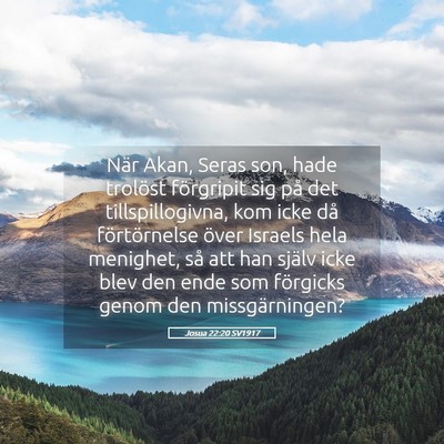 Picture 05 - Josua 22:20 SV1917 - När Akan, Seras son, hade trolöst förgripit - Bible Verse Picture