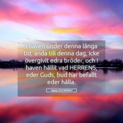 Picture 05 - Josua 22:3 SV1917 - I haven under denna långa tid, ända till denna - Bible Verse Picture