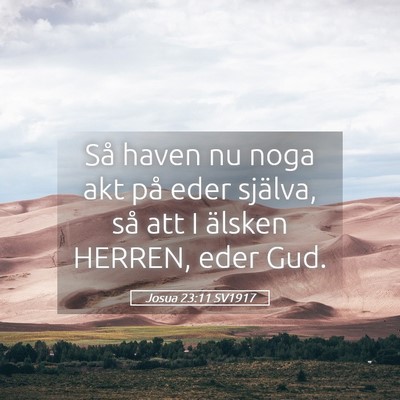 Picture 05 - Josua 23:11 SV1917 - Så haven nu noga akt på eder själva, så att I - Bible Verse Picture