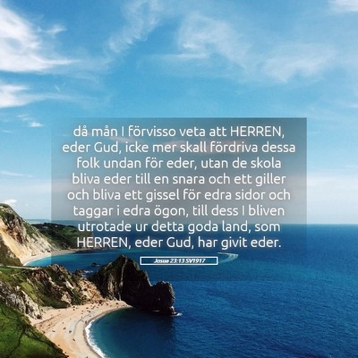 Picture 05 - Josua 23:13 SV1917 - då mån I förvisso veta att HERREN, eder Gud, - Bible Verse Picture