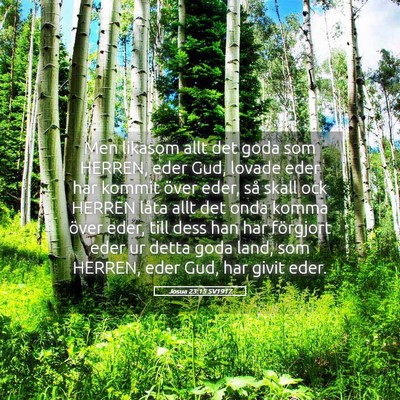 Picture 05 - Josua 23:15 SV1917 - Men likasom allt det goda som HERREN, eder Gud, - Bible Verse Picture