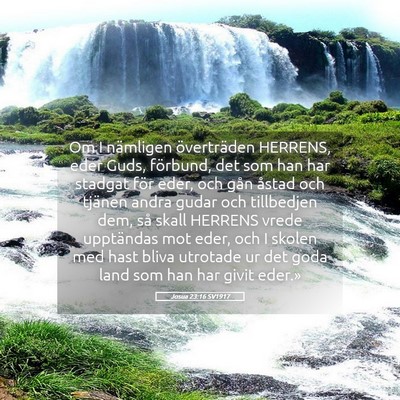 Picture 05 - Josua 23:16 SV1917 - Om I nämligen överträden HERRENS, eder Guds, - Bible Verse Picture