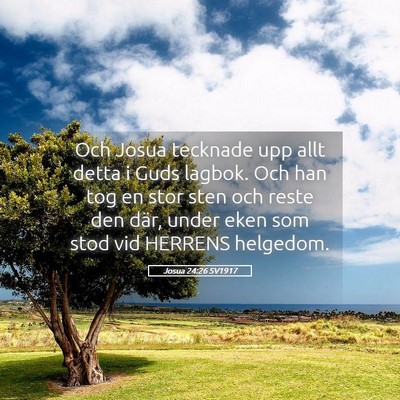 Picture 05 - Josua 24:26 SV1917 - Och Josua tecknade upp allt detta i Guds lagbok. - Bible Verse Picture