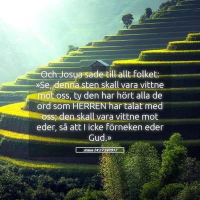 Picture 05 - Josua 24:27 SV1917 - Och Josua sade till allt folket: »Se, denna sten - Bible Verse Picture