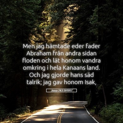Picture 05 - Josua 24:3 SV1917 - Men jag hämtade eder fader Abraham från andra - Bible Verse Picture