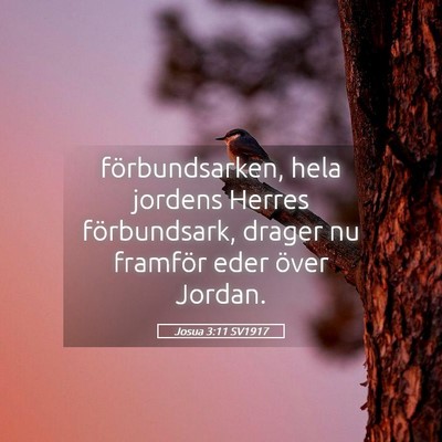 Picture 05 - Josua 3:11 SV1917 - förbundsarken, hela jordens Herres förbundsark, - Bible Verse Picture
