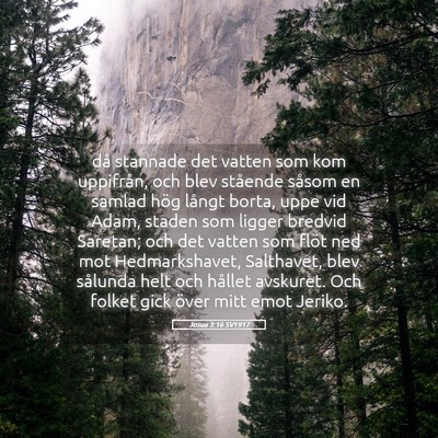 Picture 05 - Josua 3:16 SV1917 - då stannade det vatten som kom uppifrån, och - Bible Verse Picture