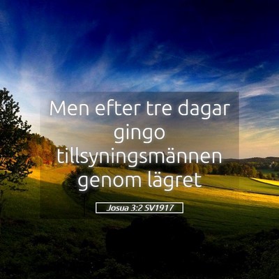 Picture 05 - Josua 3:2 SV1917 - Men efter tre dagar gingo tillsyningsmännen - Bible Verse Picture