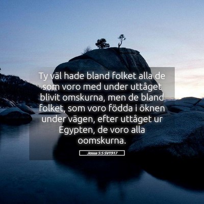 Picture 05 - Josua 5:5 SV1917 - Ty väl hade bland folket alla de som voro med - Bible Verse Picture