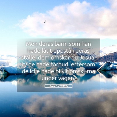 Picture 05 - Josua 5:7 SV1917 - Men deras barn, som han hade låtit uppstå i - Bible Verse Picture