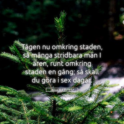 Picture 05 - Josua 6:3 SV1917 - Tågen nu omkring staden, så många stridbara - Bible Verse Picture
