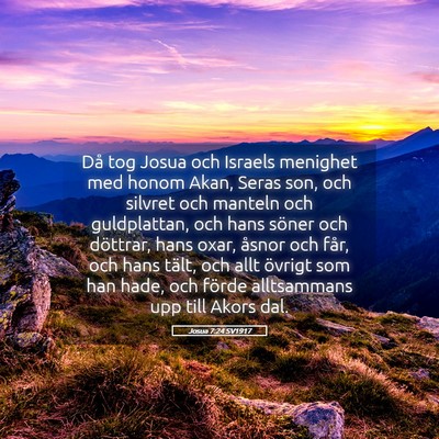 Picture 05 - Josua 7:24 SV1917 - Då tog Josua och Israels menighet med honom - Bible Verse Picture