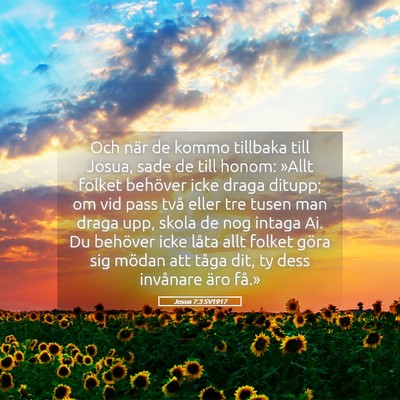 Picture 05 - Josua 7:3 SV1917 - Och när de kommo tillbaka till Josua, sade de - Bible Verse Picture