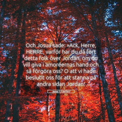 Picture 05 - Josua 7:7 SV1917 - Och Josua sade: »Ack, Herre, HERRE, varför har - Bible Verse Picture