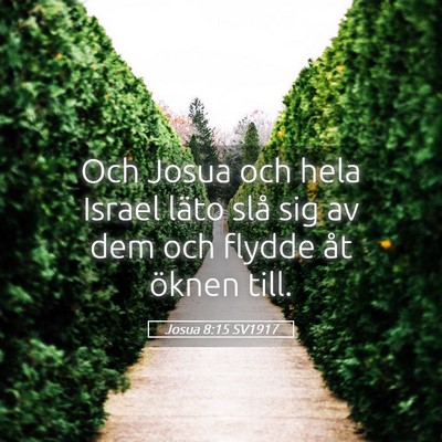 Picture 05 - Josua 8:15 SV1917 - Och Josua och hela Israel läto slå sig av dem - Bible Verse Picture