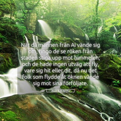 Picture 05 - Josua 8:20 SV1917 - När då männen från Ai vände sig om, fingo de - Bible Verse Picture