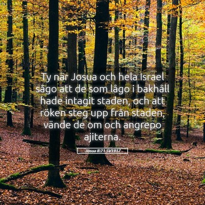 Picture 05 - Josua 8:21 SV1917 - Ty när Josua och hela Israel sågo att de som - Bible Verse Picture