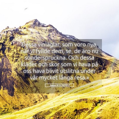 Picture 05 - Josua 9:13 SV1917 - Dessa vinläglar, som voro nya, när vi fyllde - Bible Verse Picture