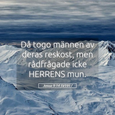 Picture 05 - Josua 9:14 SV1917 - Då togo männen av deras reskost, men - Bible Verse Picture