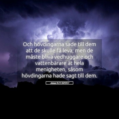 Picture 05 - Josua 9:21 SV1917 - Och hövdingarna sade till dem att de skulle få - Bible Verse Picture