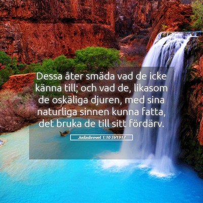 Picture 05 - Judasbrevet 1:10 SV1917 - Dessa åter smäda vad de icke känna till; och - Bible Verse Picture