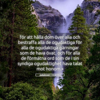 Picture 05 - Judasbrevet 1:15 SV1917 - för att hålla dom över alla och bestraffa alla - Bible Verse Picture