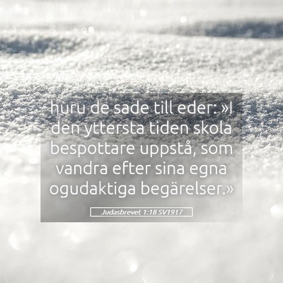 Picture 05 - Judasbrevet 1:18 SV1917 - huru de sade till eder: »I den yttersta tiden - Bible Verse Picture