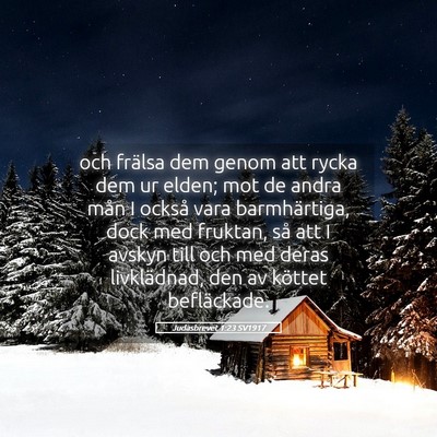 Picture 05 - Judasbrevet 1:23 SV1917 - och frälsa dem genom att rycka dem ur elden; mot - Bible Verse Picture