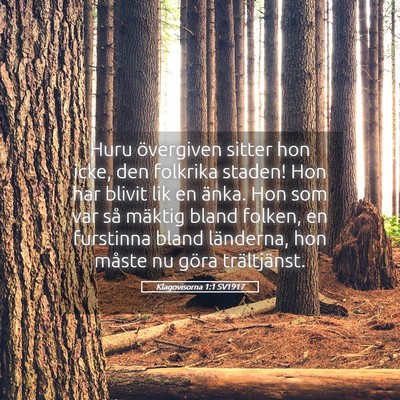 Picture 05 - Klagovisorna 1:1 SV1917 - Huru övergiven sitter hon icke, den folkrika - Bible Verse Picture