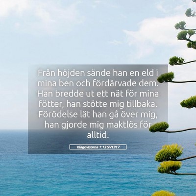 Picture 05 - Klagovisorna 1:13 SV1917 - Från höjden sände han en eld i mina ben och - Bible Verse Picture