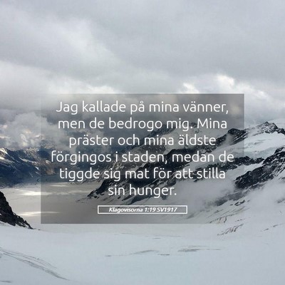 Picture 05 - Klagovisorna 1:19 SV1917 - Jag kallade på mina vänner, men de bedrogo mig. - Bible Verse Picture