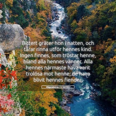 Picture 05 - Klagovisorna 1:2 SV1917 - Bittert gråter hon i natten, och tårar rinna - Bible Verse Picture