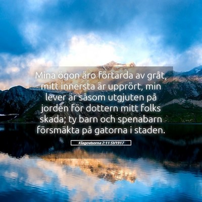 Picture 05 - Klagovisorna 2:11 SV1917 - Mina ögon äro förtärda av gråt, mitt - Bible Verse Picture