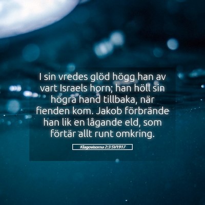Picture 05 - Klagovisorna 2:3 SV1917 - I sin vredes glöd högg han av vart Israels - Bible Verse Picture