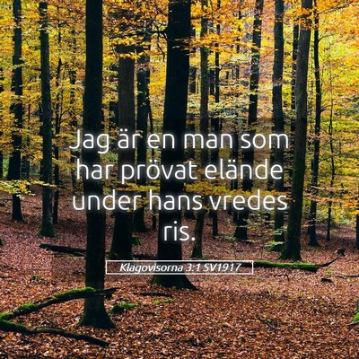 Picture 05 - Klagovisorna 3:1 SV1917 - Jag är en man som har prövat elände under hans - Bible Verse Picture
