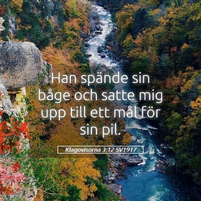 Picture 05 - Klagovisorna 3:12 SV1917 - Han spände sin båge och satte mig upp till ett - Bible Verse Picture