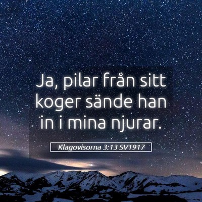 Picture 05 - Klagovisorna 3:13 SV1917 - Ja, pilar från sitt koger sände han in i mina - Bible Verse Picture