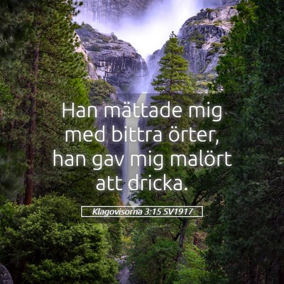 Picture 05 - Klagovisorna 3:15 SV1917 - Han mättade mig med bittra örter, han gav mig - Bible Verse Picture