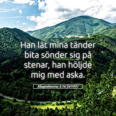 Picture 05 - Klagovisorna 3:16 SV1917 - Han lät mina tänder bita sönder sig på - Bible Verse Picture
